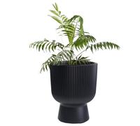 B2C Plant Pots Flower Planter 7 Colours 3 sizes Tall with insert Wavy Plastic Pot Boho Elegant Textured Cylindrical with base indoor/outdoor Modern (Anthracite, 30cm - 18L)