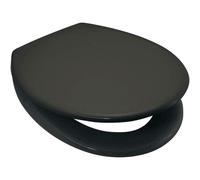 Anthracite / Dark Slate Grey Soft Close Toilet Seat Quick Release