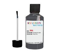 Anthracite Grey RAL 7016 Cellulose Paint Air Brush Colors 30ml Model Airbrush Paints (Gloss Shine Finish)