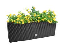 (Anthracite, L395mm x W185mm) Rectangle Hanging Flowerpot Planter Fence Pot Basket Rattan Look Plastic Hooks