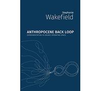 Anthropocene Backloop: Experimentation in Unsafe Operating Space (Critical Climate Chaos: Irreversibility)