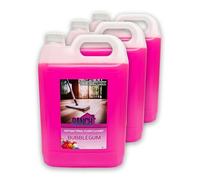 Anti-Bacterial Floor Cleaner 15L Ranch (BUBBLEGUM)