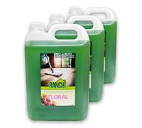 Anti-Bacterial Floor Cleaner 15L Ranch (FLORAL)