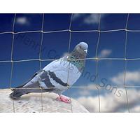 Anti Bird Netting For the Garden 5m x 15m 50mm 2" Anti Pigeon Knotted Mesh Heavy Duty Stone Net Protection