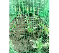 Anti Butterfly Netting (2m x 5m) free P&P Next day delivery if booked before 12AM
