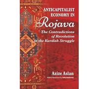 Anti-Capitalist Economy in Rojava: The Contradictions of Revolution in the Kurdish Struggle: The Contradictions of the Revolution in the Struggles of the Kurds