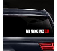 Anti Elon Club Bumper Decal Elon was Crazy Sticker Funny Regret Shut Up Elon Musk Sticker Cling for Car Bumper, Laptop, Wall, Window (Even My Dog Hates Elon)