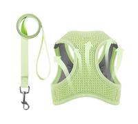 Anti Escape Cat Harness - Pull On Harness for Cats | Breathable Mesh Jacket Reflective Outdoor Walking Harness Lightweight Kitten Harness for Cat Types