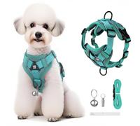Anti-Escape Pet Belt + Pull Rope, Anti-Escape Adjustable Pet Strap with Reflective Strip, Safe and Comfortable at Night, Suitable for Cats and Dogs, Lake Blue (S)