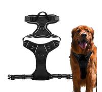 Anti-Evasion Dog Harness | Reflective Strap without Traction | Secure Strap Without with 2 Lead Clips | Adjustable and Comfortable Strap for Small, Medium and Large Dogs
