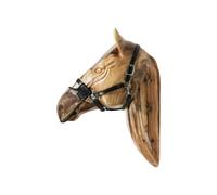 Anti-fly Mask Kentucky