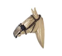 Anti-fly Mask Kentucky