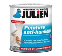 Anti Humidity Paint Julien All Supports Prevents Saltpeter Blistering Halo