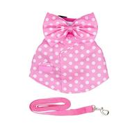 Anti-Leak Clothes for Rabbits, Adjustable Set for Pet | Escape Proof Cat Harness with Guide Rope, for Rabbits and Squirrels, Outdoor Walks, Hiking and Training