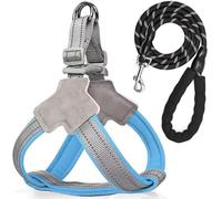 Anti-pull Dog Harness - Breathable Mesh Padding, Reflective Strips, And Escape-proof Design For Easy On And Off | For Training And Walking Small And Medium-sized Dogs(Blue,L)