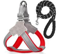 Anti-pull Dog Harness - Breathable Mesh Padding, Reflective Strips, And Escape-proof Design For Easy On And Off | For Training And Walking Small And Medium-sized Dogs(Red,XL)