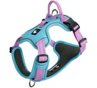 Anti-pull dog harness for Papillon, with handle, adjustable reflective vest-style harness, breathable and soft mesh fabric, leash buckles at both the front and back. blue L