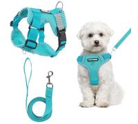 Anti-Pull Dog Harness Small Medium Dogs with Dog Lead Set, Breathable Harness Dog Harness Luminous Recommended Weight 5-7.5 kg