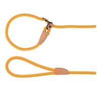 Flamingo Dog Anti-pull leash Puppy Malibu Ochre 1,7m 6mm