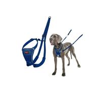 Anti-pull harness for dog - Halti - Size L - Cobalt Blue - Reflective - Padded straps - Polyester