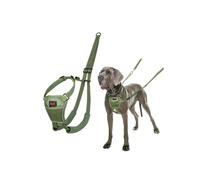 Anti-pull harness for dog - Halti - Size L - Forest Green - Reflective - Padded straps - Polyester