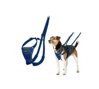 Anti-pull harness for dogs - Halti - Reflective - Padded strap - Size S - Cobalt Blue - Polyester