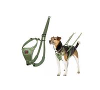 Halti No Pull Harness - Stop Your Dog Pulling on the Lead. Adjustable, Lightweight and Easy to Use. Reflective Dog Training Harness for Small Dogs (Size S, Forest Green)