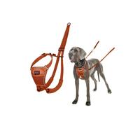 Anti-pull harness for dogs - Halti - Size L - Burnt Orange - Reflective - Padded straps - Polyester