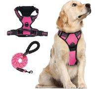 Anti-pull pull-on dog harness - breathable and reinforced - for comfortable walking - effectively prevents pulling on the leash - suitable for dogs (Rosa01,L)