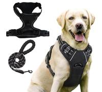 Anti-pull pull-on dog harness - breathable and reinforced - for comfortable walking - effectively prevents pulling on the leash - suitable for dogs (Schwarz,XL)