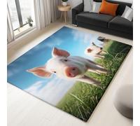 Anti Slip Area Rugs 160 x 230 cm Photography Blue Sky White Clouds Pig Carpet, Non-Shedding Soft Fluffy Carpet, Blue Modern Indoor Carpets for Living Room, Bedroom, Dining Room Flannel Rug