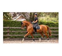 Anti-slip Dressage saddle pad LeMieux Soft Shell