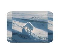 Anti Slip Thickened Floor Mat XBKGOHA Arctic Fox on The Snowy Plains Picture Non-Slip, Easy to Clean, Durable,Perfect for Toilet Bathroom 60x40cm