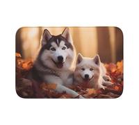 Anti Slip Thickened Floor Mat YYHWHJDE Cute Husky Dogs Prints Non-Slip, Easy to Clean, Durable, Fade-Resistant, Perfect for Toilet Bathroom 60x40cm