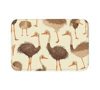 Anti Slip Thickened Floor Mat YYHWHJDE Cute Ostrich Prints Non-Slip, Easy to Clean, Durable, Fade-Resistant, Perfect for Toilet Bathroom 60x40cm