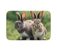 Anti Slip Thickened Floor Mat YYHWHJDE Funny Rabbits Prints Non-Slip, Easy to Clean, Durable, Fade-Resistant, Perfect for Toilet Bathroom 60x40cm
