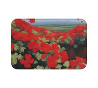 Anti Slip Thickened Floor Mat YYHWHJDE Red Geranium Potted Plant Prints Non-Slip, Easy to Clean, Durable, Fade-Resistant, Perfect for Toilet Bathroom 60x40cm