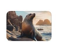 Anti Slip Thickened Floor Mat YYHWHJDE Sea Lion on The Rocks Prints Non-Slip, Easy to Clean, Durable, Fade-Resistant, Perfect for Toilet Bathroom 60x40cm