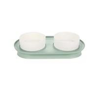 Anti-Spill Angled Pet Bowl | Color: Light Green