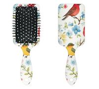 Anti Static Air Cushion Comb - A Hair Brush and Massage Comb for Wet or Dry Hair That Reduces Breakage and Frizz, Ideal for Detangling, Smoothing, and Blow-Drying, Charming Avian Floral