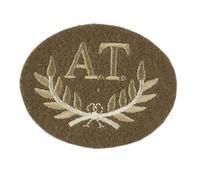 Anti-Tank Gun Layers and Guided Missile Controllers Household Division, Honourable Artillery Company British Army Badge