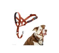 Anti-traction Dog Leash - Halti - Size 2 - Burnt Orange - Padded Neoprene Muzzle