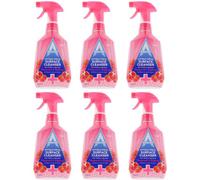 Antibacterial Surface Cleaner Spray 750Ml Multi Purpose Cleaning Spray Kitchen Bathroom Pack Of 6