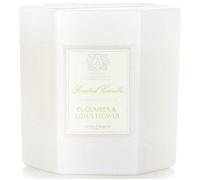 Antica Farmacista Candle Cucumber & Lotus Flower 255g