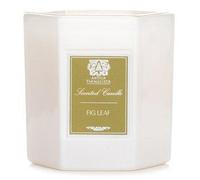 Antica Farmacista Candle Fig Leaf 255g