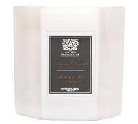 Antica Farmacista Candle Sandalwood Amber 255g