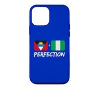 Antigua Plus Nigerian Perfection Mix Heritage Flag Case for iPhone 12 mini