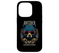 Antioch CA Fun Bear Wearing Glasses with Flowers Design Case for iPhone 14 Pro