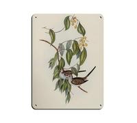 Antique Bird Drawings Retro Poster Metal Tin Sign Chic Art Retro Iron Painting Bar People Cave Cafe Family Garage Poster Wall Decoration 12x16inch(30x40cm)