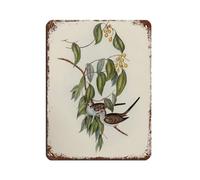 Antique Bird Drawings Tin Sign Vintage Metal Pub Club Cafe Bar Home Wall Art Decoration Poster Retro 12x16inch(30x40cm)